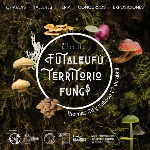 Futaleufú Territorio Fungi